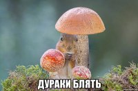  дураки блять
