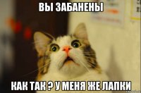 вы забанены как так ? у меня же лапки