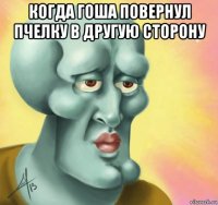 когда гоша повернул пчелку в другую сторону 