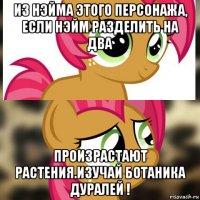 из нэйма этого персонажа, если нэйм разделить на два произрастают растения.изучай ботаника дуралей !