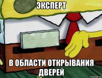 эксперт в области открывания дверей