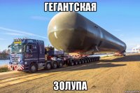 гегантская золупа
