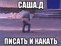 саша.д писать и какать