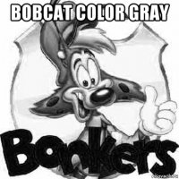 bobcat color gray 