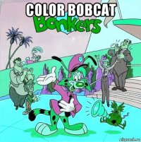 color bobcat 