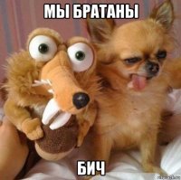 мы братаны бич
