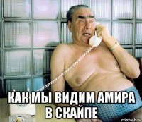  как мы видим амира в скайпе