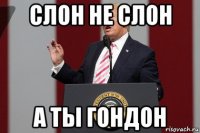 слон не слон а ты гондон