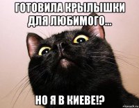 готовила крылышки для любимого... но я в киеве!?