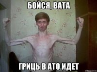 бойся, вата гриць в ато идет
