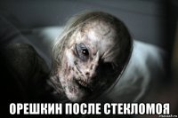  орешкин после стекломоя