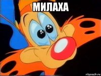 милаха 