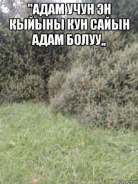 ''адам учун эн кыйыны кун сайын адам болуу,, 