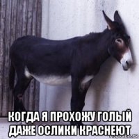  когда я прохожу голый даже ослики краснеют