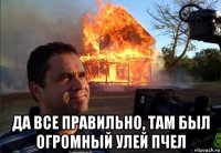  да все правильно, там был огромный улей пчел