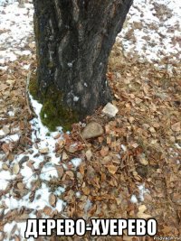  дерево-хуерево