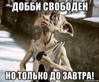 добби свободен но только до завтра!