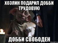 хозяин подарил добби трудовую добби свободен
