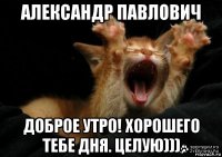 александр павлович доброе утро! хорошего тебе дня. целую)))