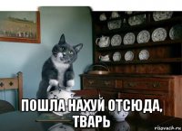  пошла нахуй отсюда, тварь