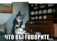  что вы говорите...