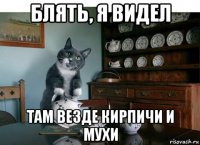 блять, я видел там везде кирпичи и мухи