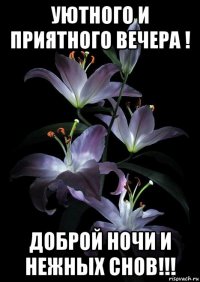 уютного и приятного вечера ! доброй ночи и нежных снов!!!