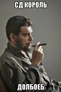 сд король долбоеб