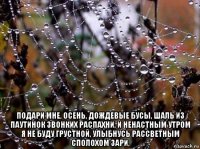 подари мне, осень, дождевые бусы, шаль из паутинок звонких распахни, и ненастным утром я не буду грустной, улыбнусь рассветным сполохом зари,