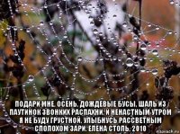  подари мне, осень, дождевые бусы, шаль из паутинок звонких распахни, и ненастным утром я не буду грустной, улыбнусь рассветным сполохом зари. елена столь, 2010