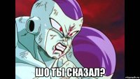  шо ты сказал?