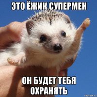 это ёжик супермен он будет тебя охранять