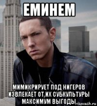 еминем мимикрирует под нигеров извлекает от их субкультуры максимум выгоды