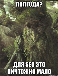 полгода? для seo это ничтожно мало