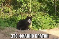  это фиаско братан