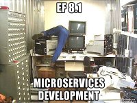 ef 8.1 microservices development