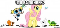что за пониеб? 