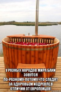  у разных народов мира бани зовутся по-разному-потому,что следят за здоровьем издревле,в отличии от европейцев!