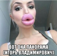  вот она панорама (игорь владимирович)