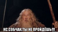  кс.собчак,ты не пройдёшь!!!