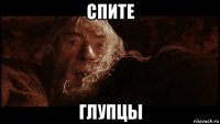 спите глупцы