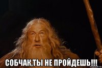  собчак,ты не пройдешь!!!