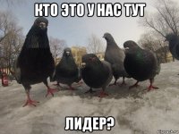 кто это у нас тут лидер?