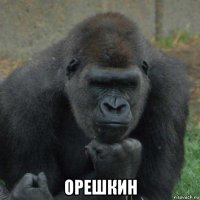  орешкин