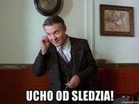  ucho od sledzia!