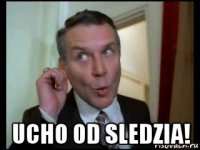  ucho od sledzia!