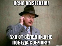ucho od sledzia! ухо от сёледки,а не победа собчак!!!
