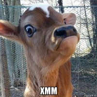  хмм