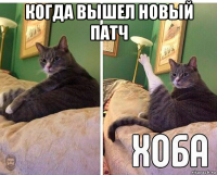 когда вышел новый патч 