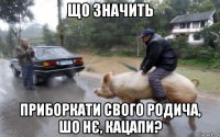 що значить приборкати свого родича, шо нє, кацапи?